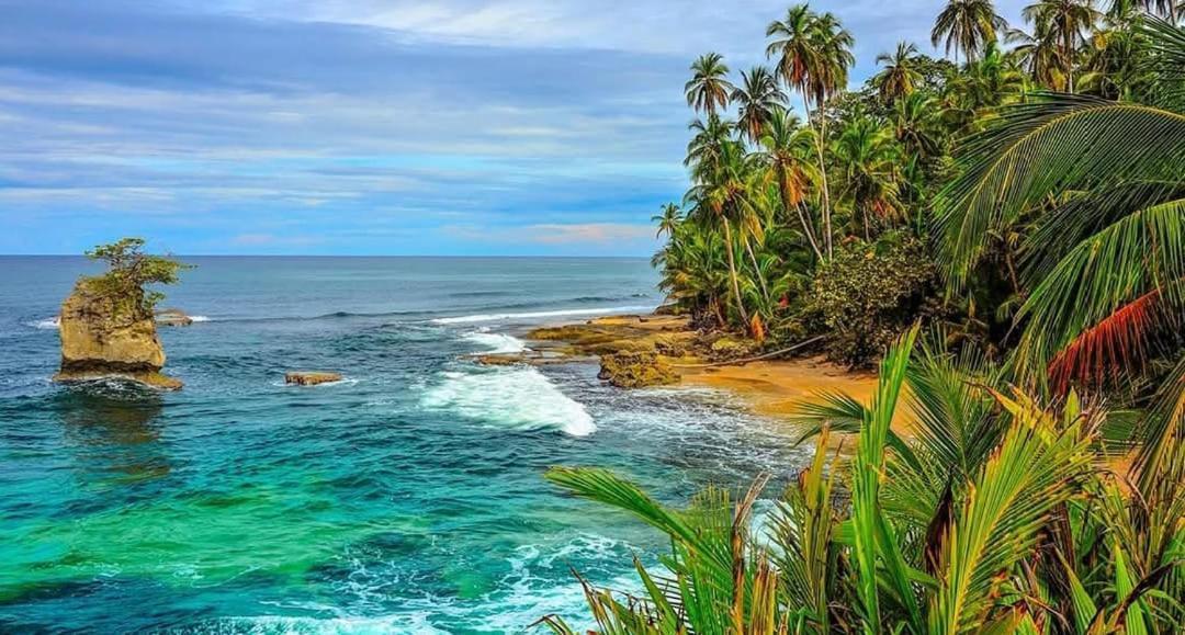Hotel Boutique D Angelo Manzanillo  Zewnętrze zdjęcie