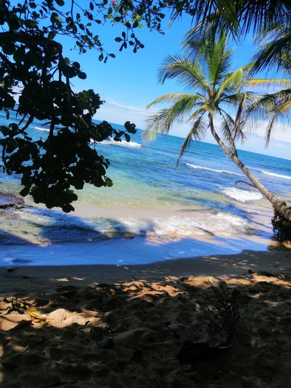 Hotel Boutique D Angelo Manzanillo  Zewnętrze zdjęcie