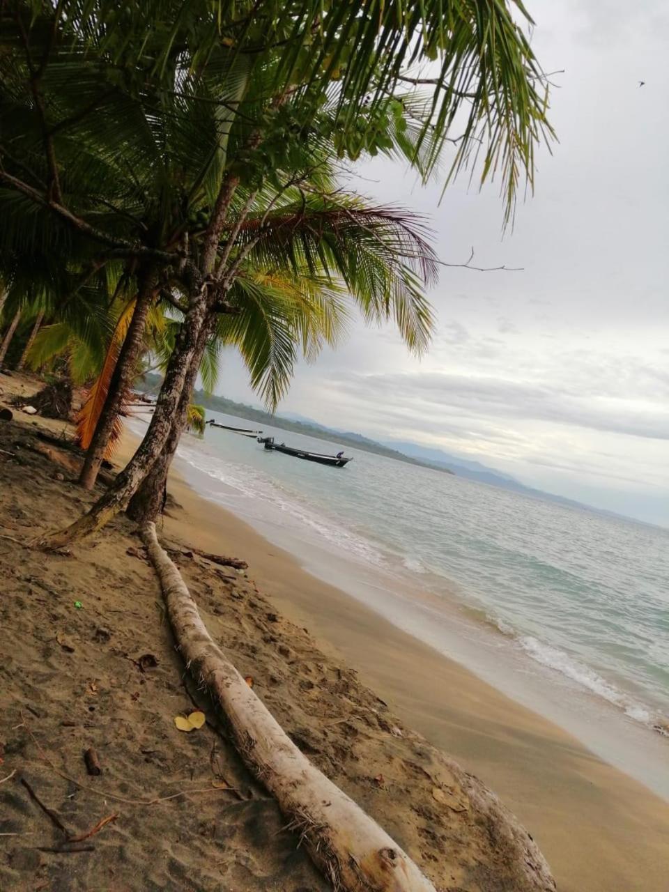 Hotel Boutique D Angelo Manzanillo  Zewnętrze zdjęcie